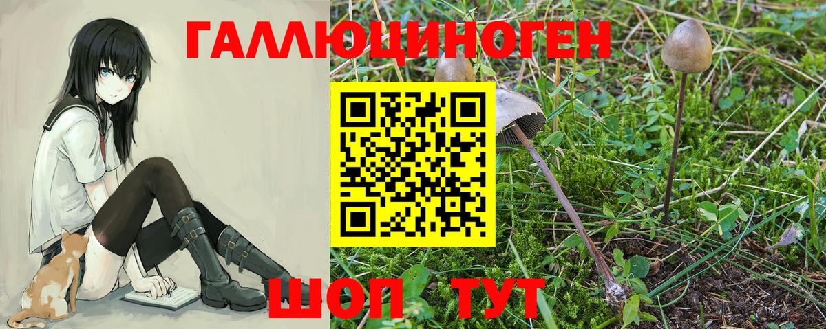 Галлюциногенные грибы GOLDEN TEACHER Сосновоборск