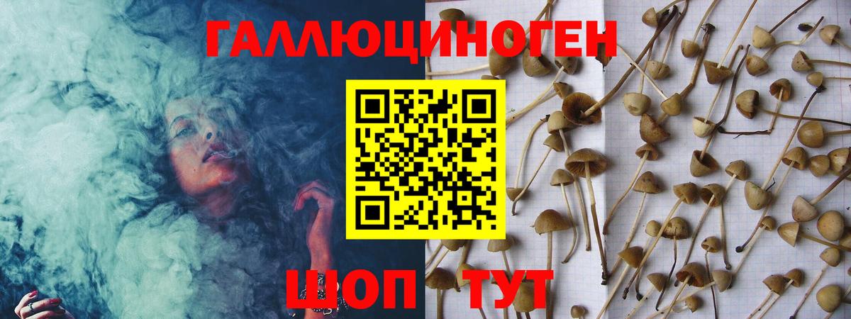 Псилоцибиновые грибы MAGIC MUSHROOMS  Галлюциногенные грибы Psilocybine cubensis  Сосновоборск  Вход с VPN 